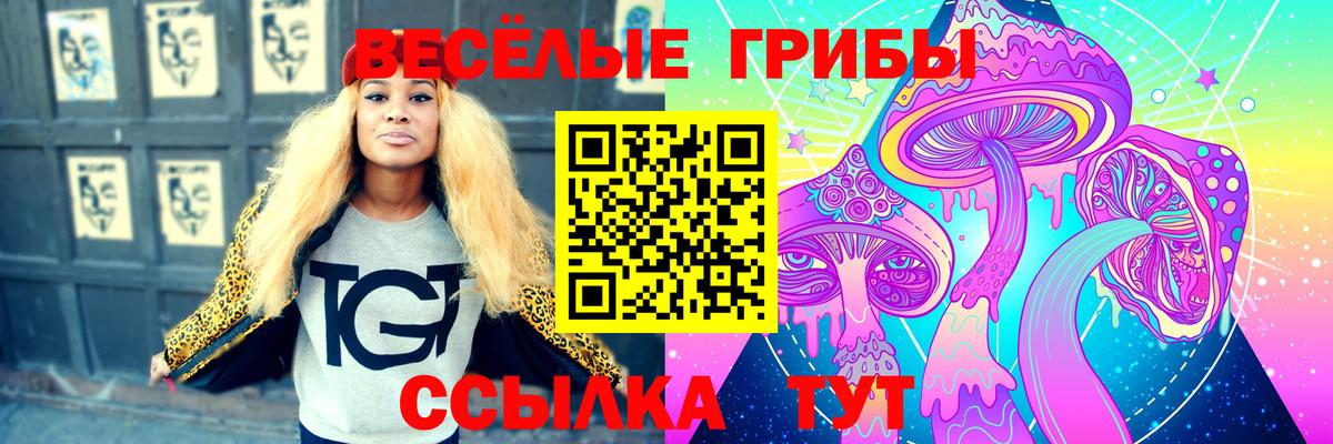 сколько стоит  Вход с VPN  Йошкар-Ола  Псилоцибиновые грибы Psilocybine cubensis 